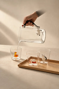 Hidden Curiosity Clear Glass Drinking Cup
