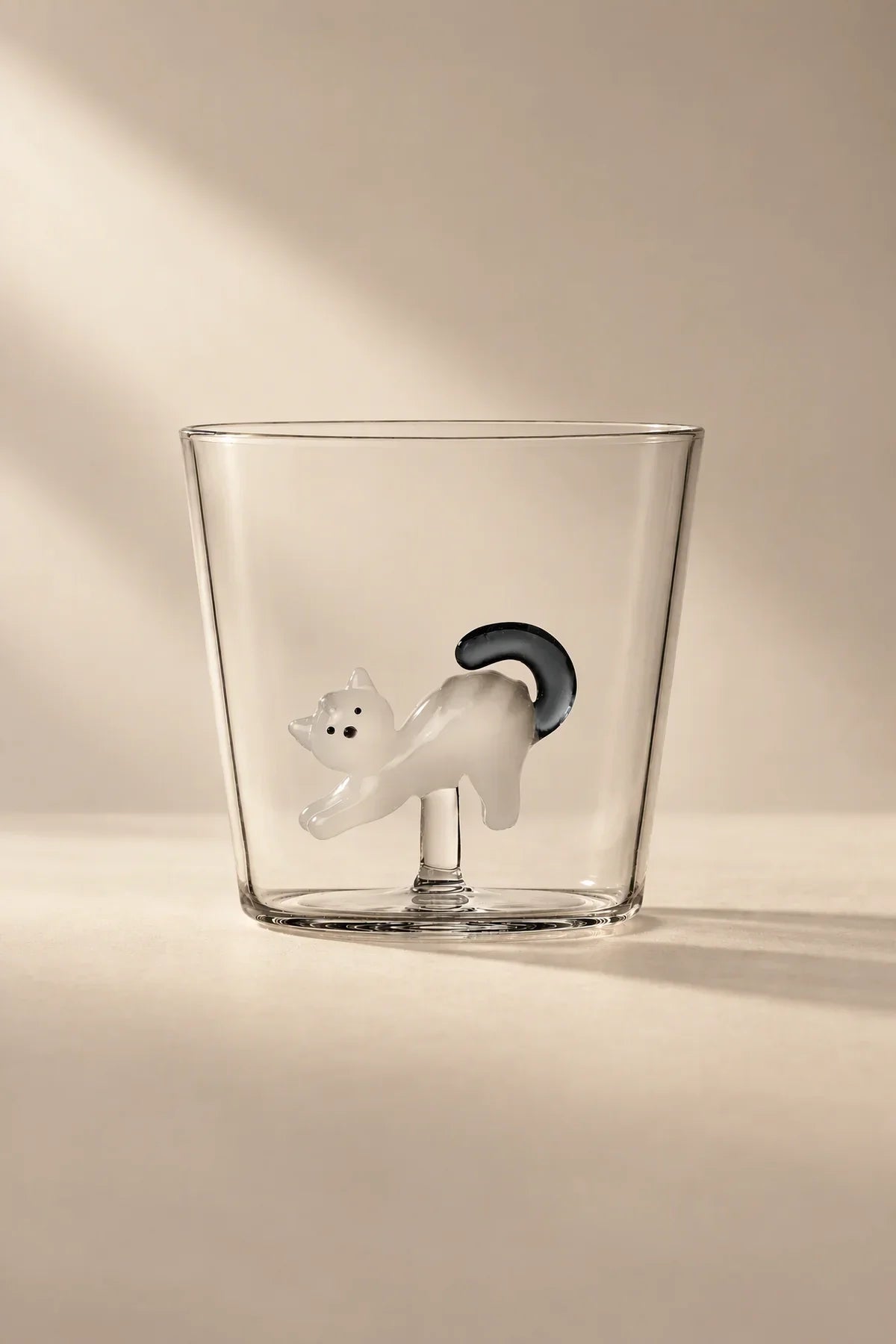 Hidden Curiosity Clear Glass Drinking Cup