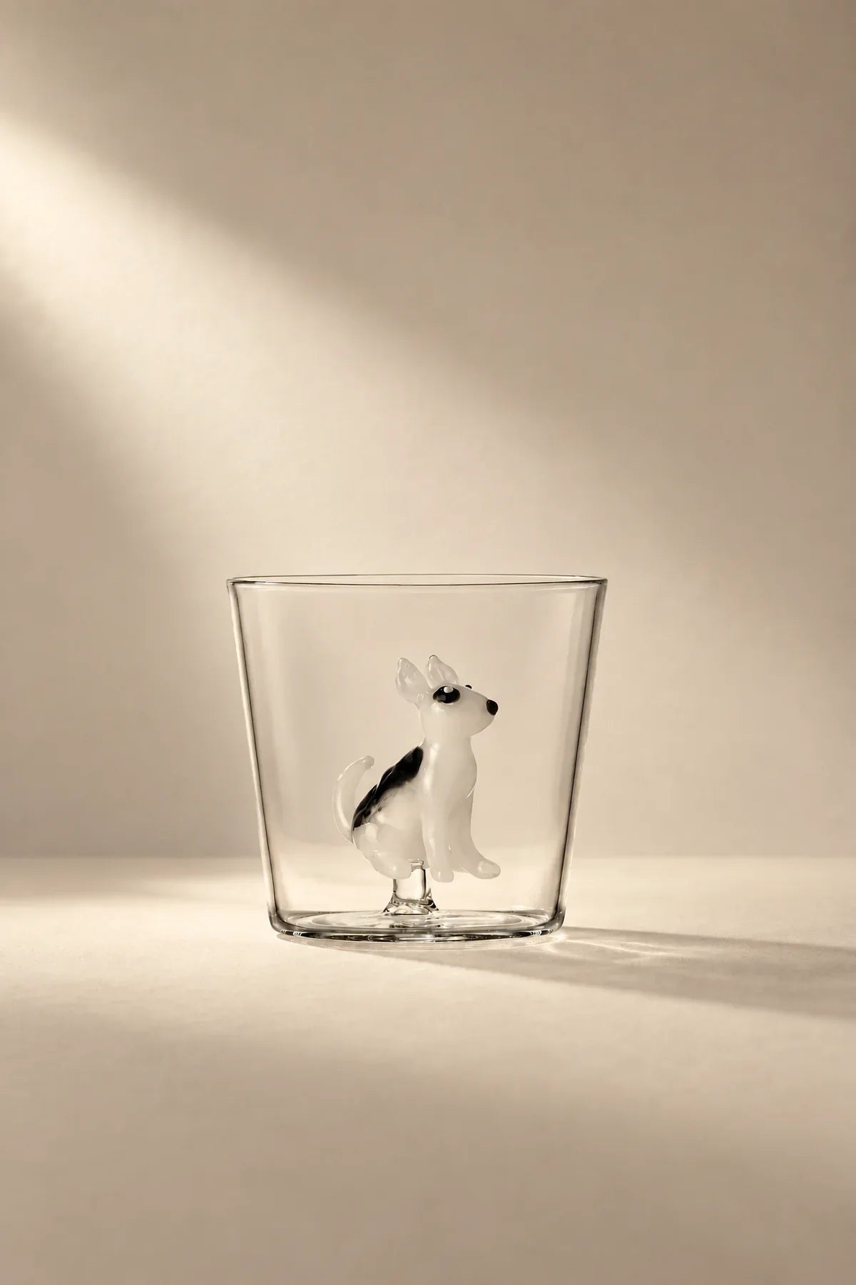 Studio Pet Clear Glass Tumbler
