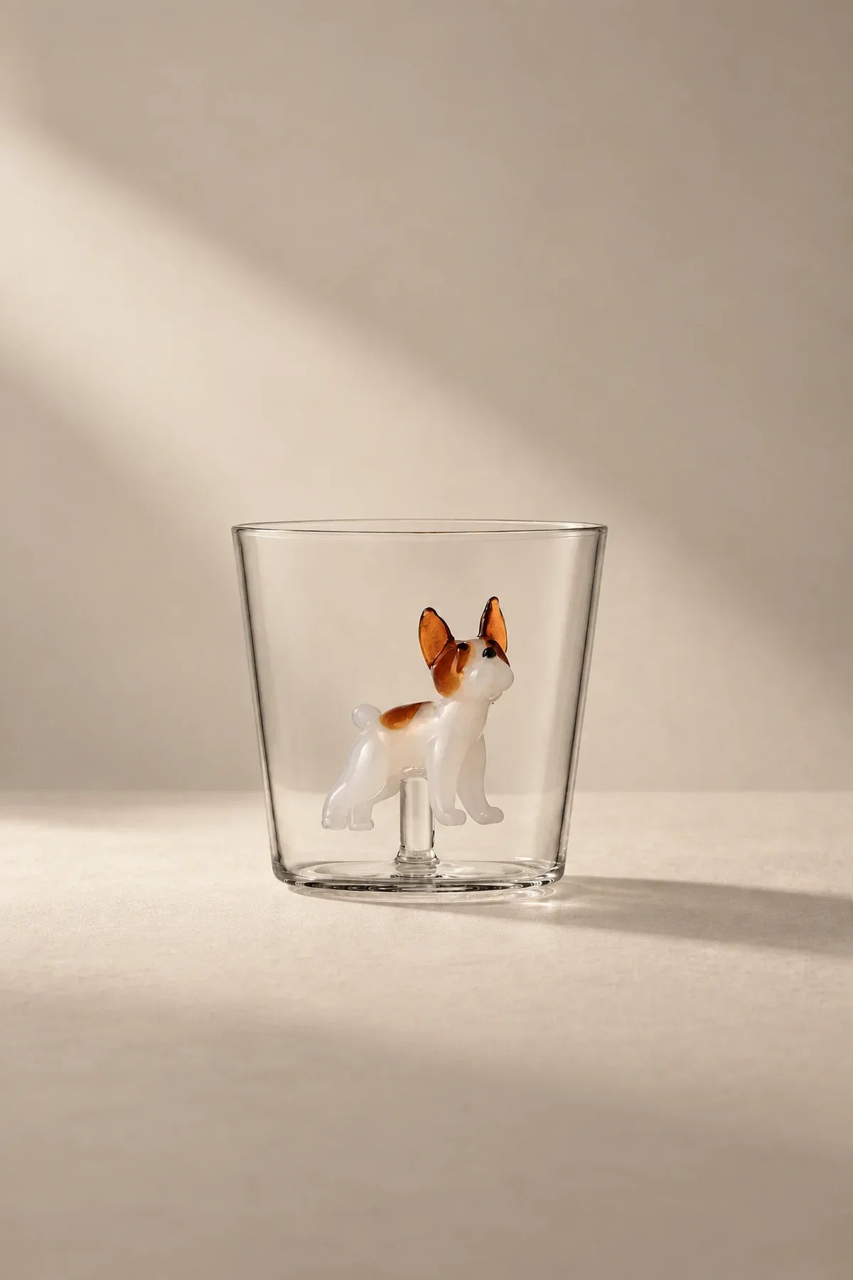 Studio Pet Clear Glass Tumbler