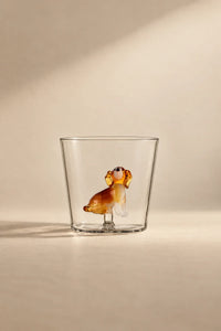 Studio Pet Clear Glass Tumbler