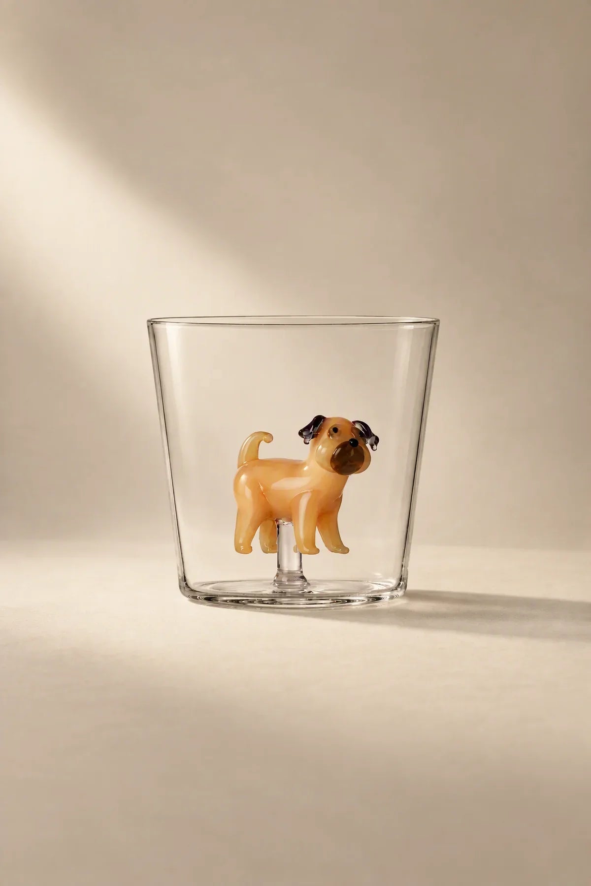 Studio Pet Clear Glass Tumbler