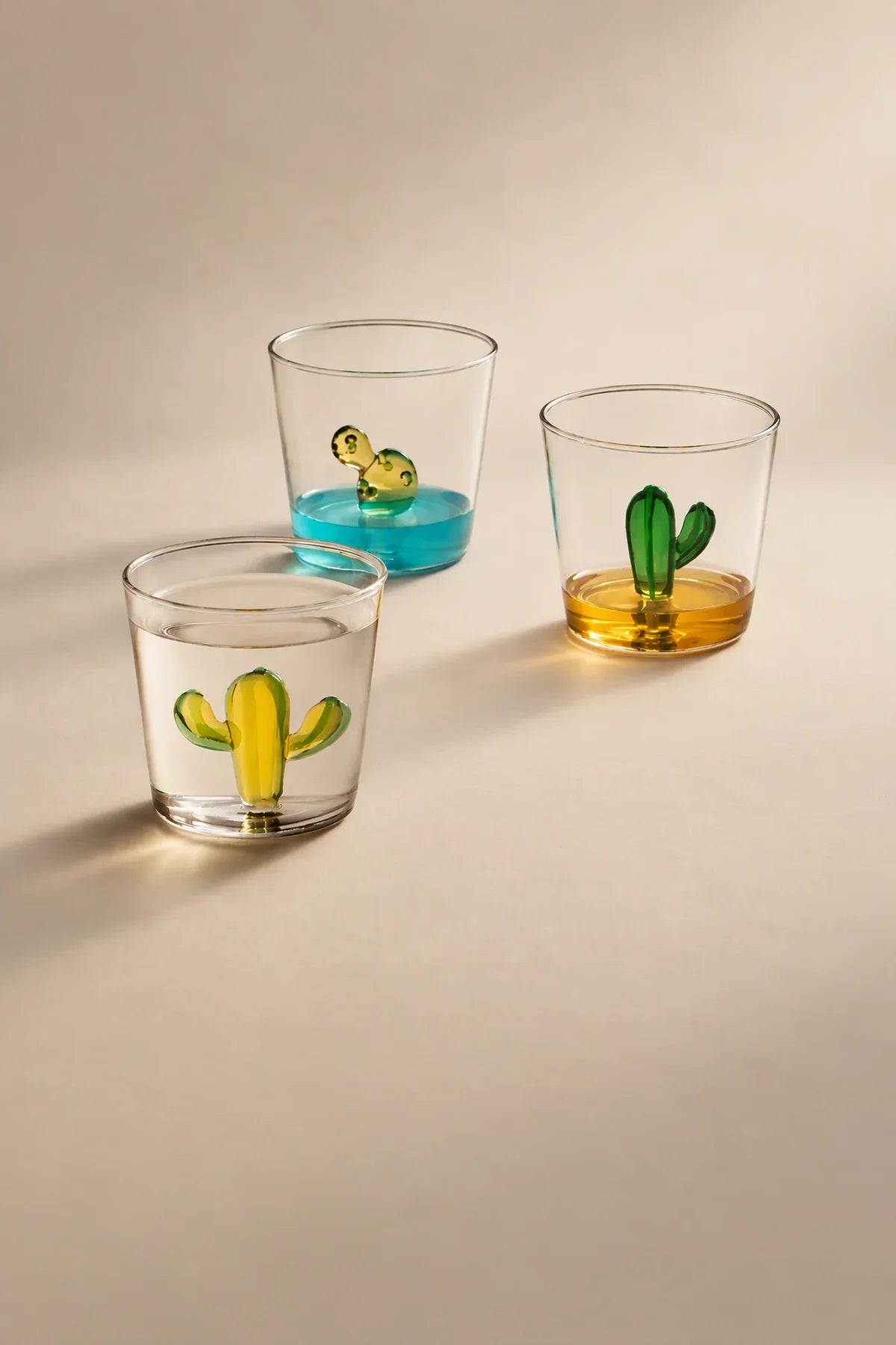 Desert Oasis Clear Glass Tumbler
