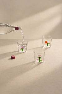 Secret Garden Clear Glass Drinkware Set
