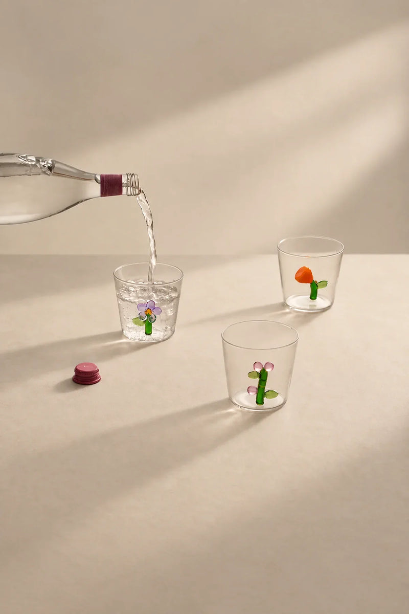 Secret Garden Clear Glass Drinkware Set