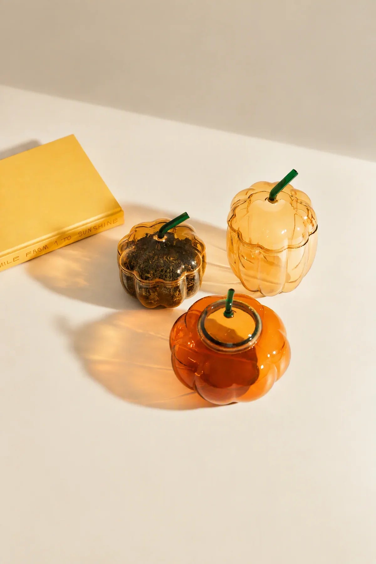 Greenhouse Study Multi-Color Glass Tableware Collection