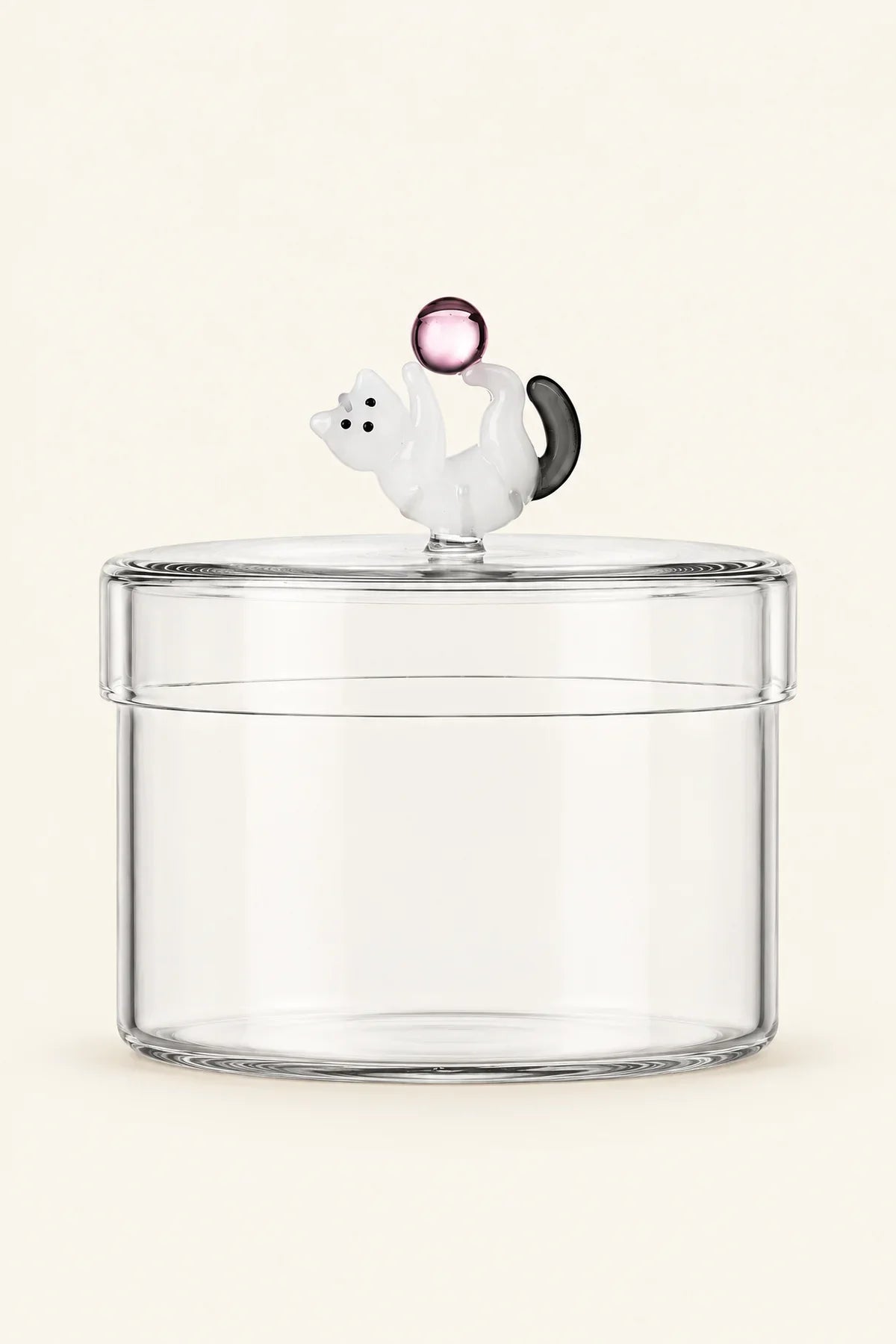 Curious Companion Clear Glass Glassware Set