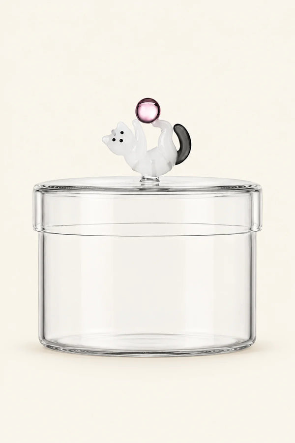 Curious Companion Clear Glass Glassware Set