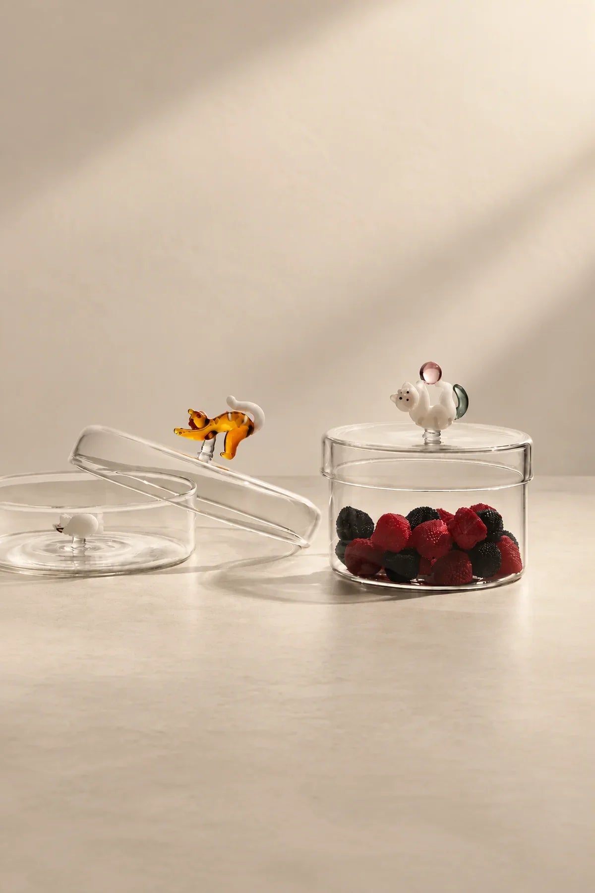 Curious Companion Clear Glass Glassware Set