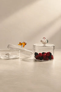 Curious Companion Clear Glass Glassware Set