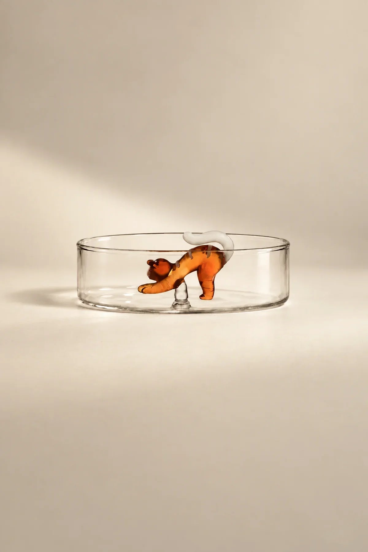 Curious Companion Clear Glass Glassware Set