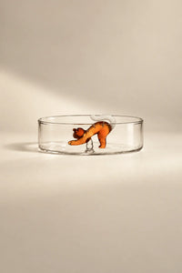 Curious Companion Clear Glass Glassware Set
