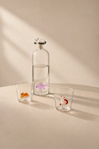 Curious Companion Clear Glass Glassware Set