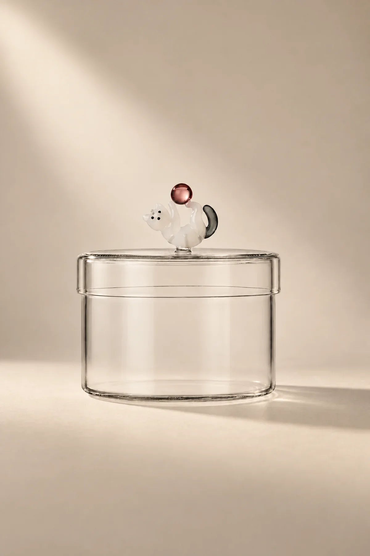 Curious Companion Clear Glass Glassware Set