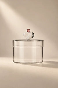 Curious Companion Clear Glass Glassware Set
