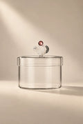 Curious Companion Clear Glass Glassware Set