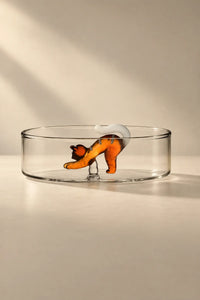 Curious Companion Clear Glass Glassware Set