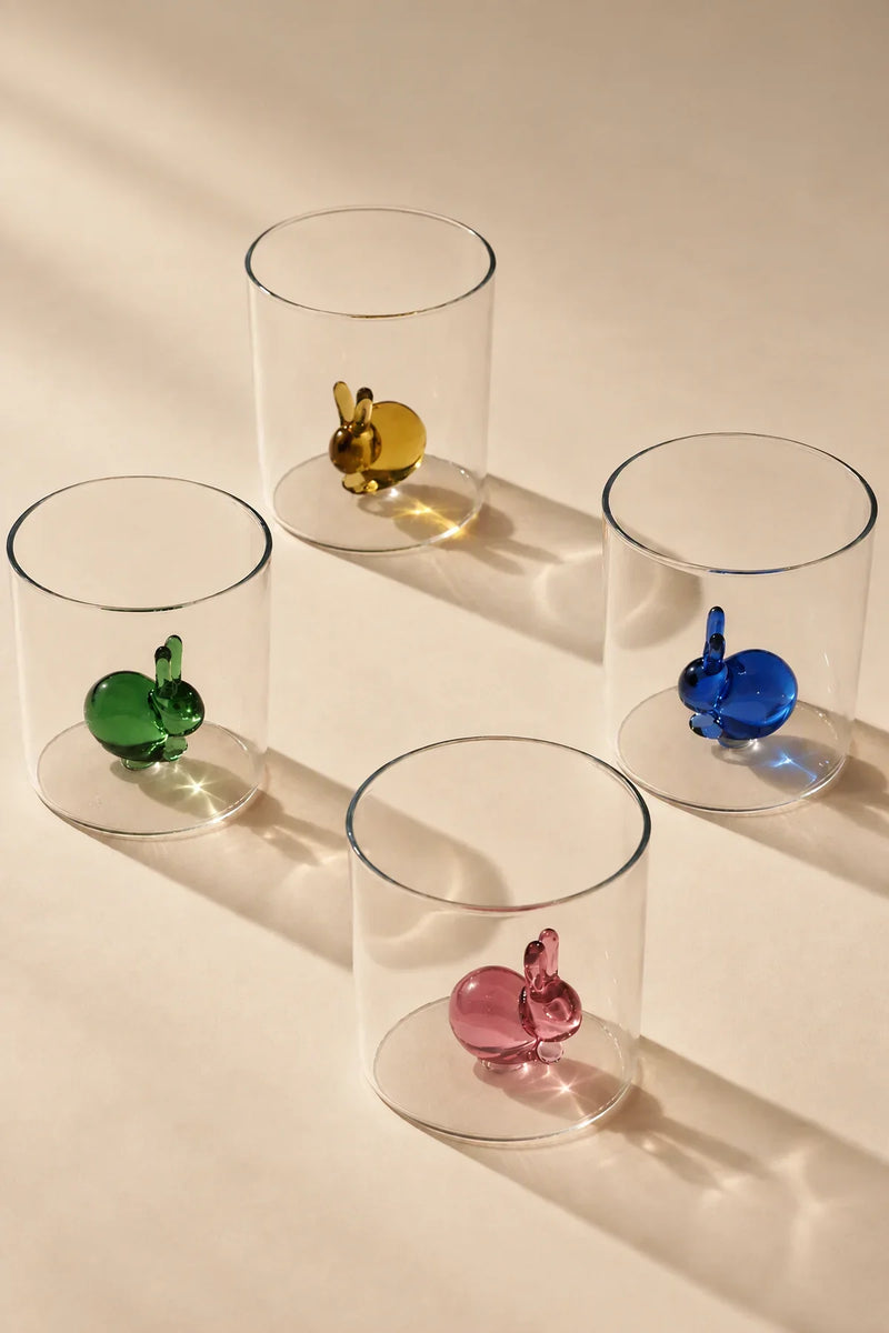 Hidden Friend Clear Borosilicate Glass Tumbler