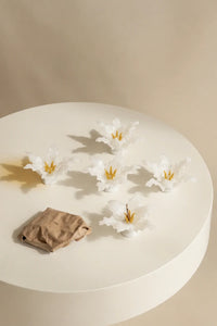 Wild Meadow Blush Glass Incense Holder