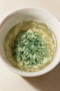 Meadow Frost Green-Blue Glazed Ceramic Tea Set
