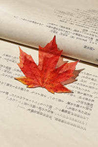 Forest Floor Orange-Red Resin-Look Bookmark