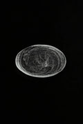 Frozen Tide Frosted Clear Glass Serving Plate