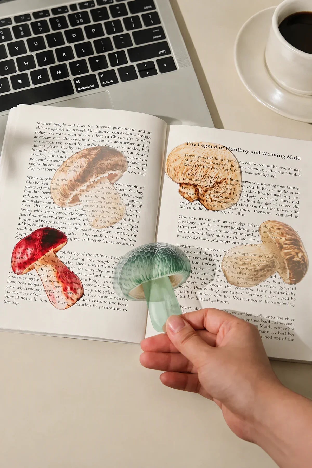 Foraged Finds Clear Plastic Bookmark