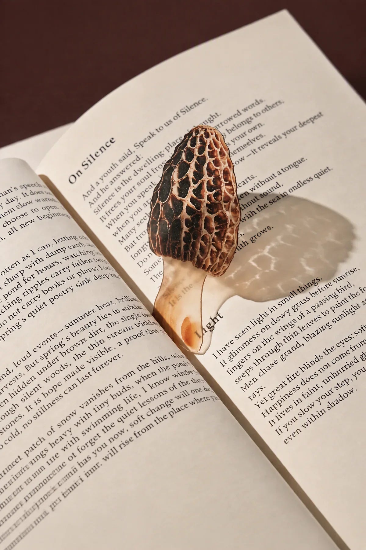 Foraged Finds Clear Plastic Bookmark