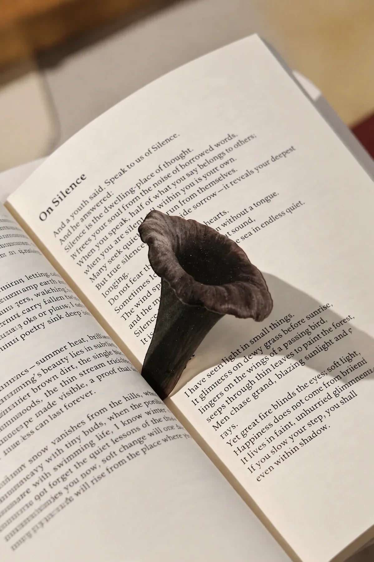 Foraged Finds Clear Plastic Bookmark