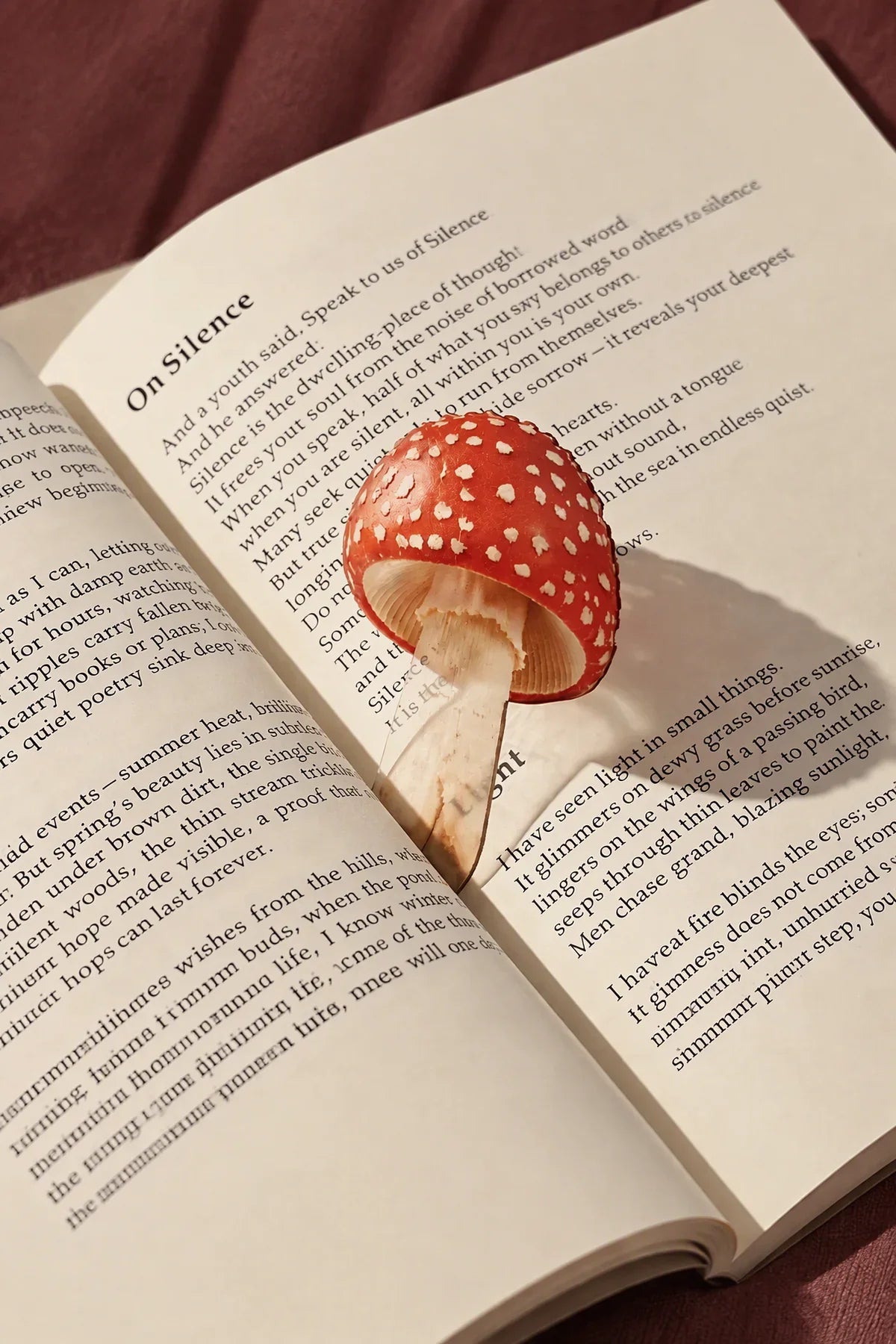 Foraged Finds Clear Plastic Bookmark