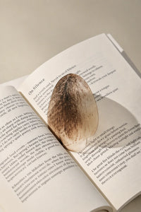Foraged Finds Clear Plastic Bookmark