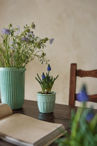 Garden Border Mint Glass Pitcher and Cup Set
