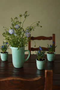 Garden Border Mint Glass Pitcher and Cup Set
