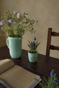 Garden Border Mint Glass Pitcher and Cup Set