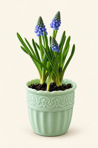 Garden Border Mint Glass Cup
