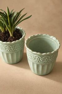 Garden Border Mint Glass Cup