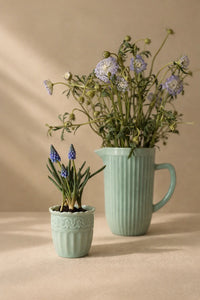 Garden Border Mint Glass Cup