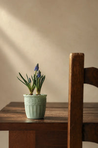 Garden Border Mint Glass Cup