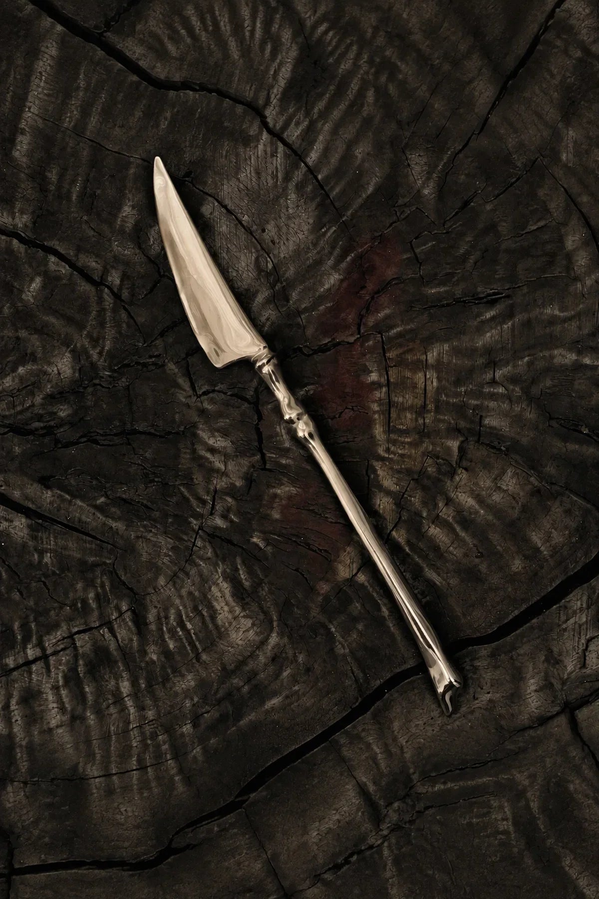 Anatomical Study Silver Stainless Steel Cutlery
