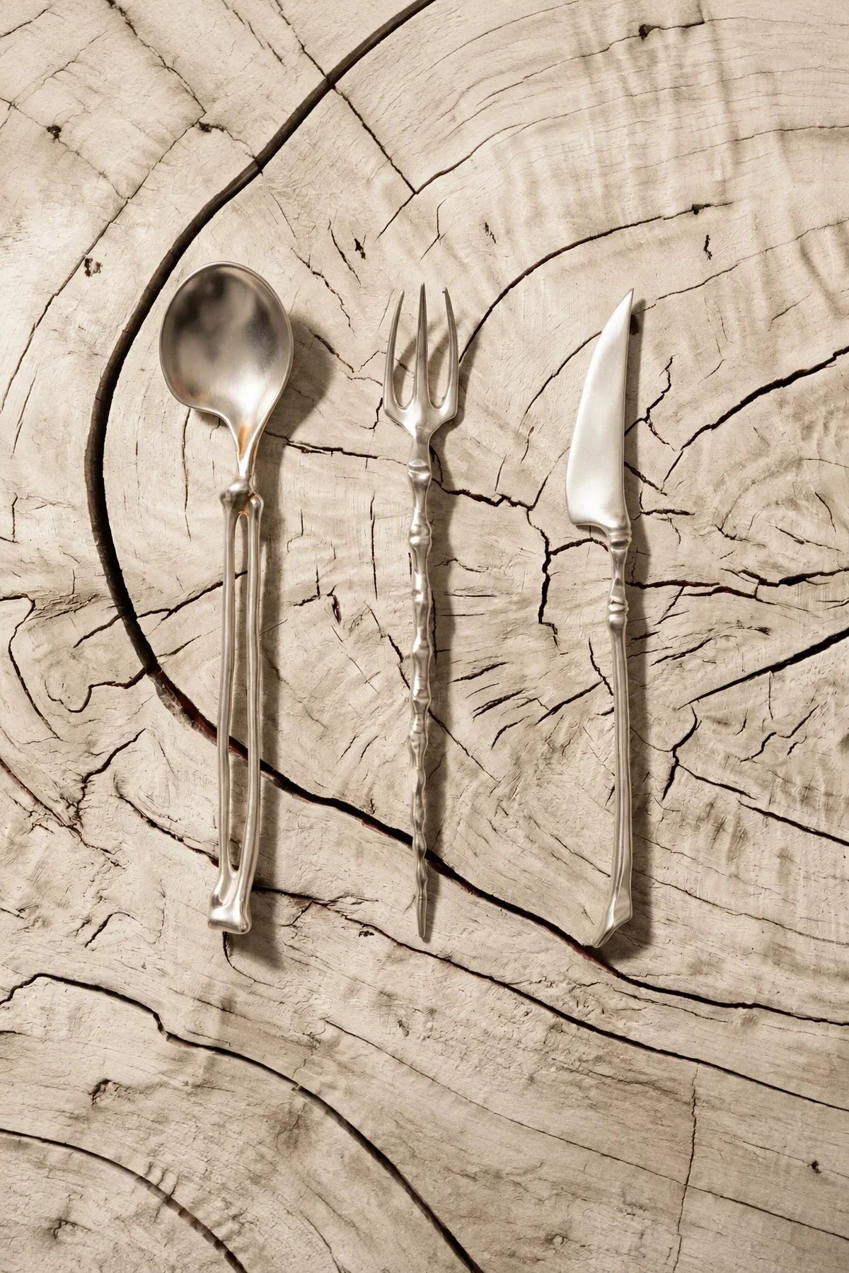 Anatomical Study Silver Stainless Steel Cutlery