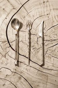 Anatomical Study Silver Stainless Steel Cutlery