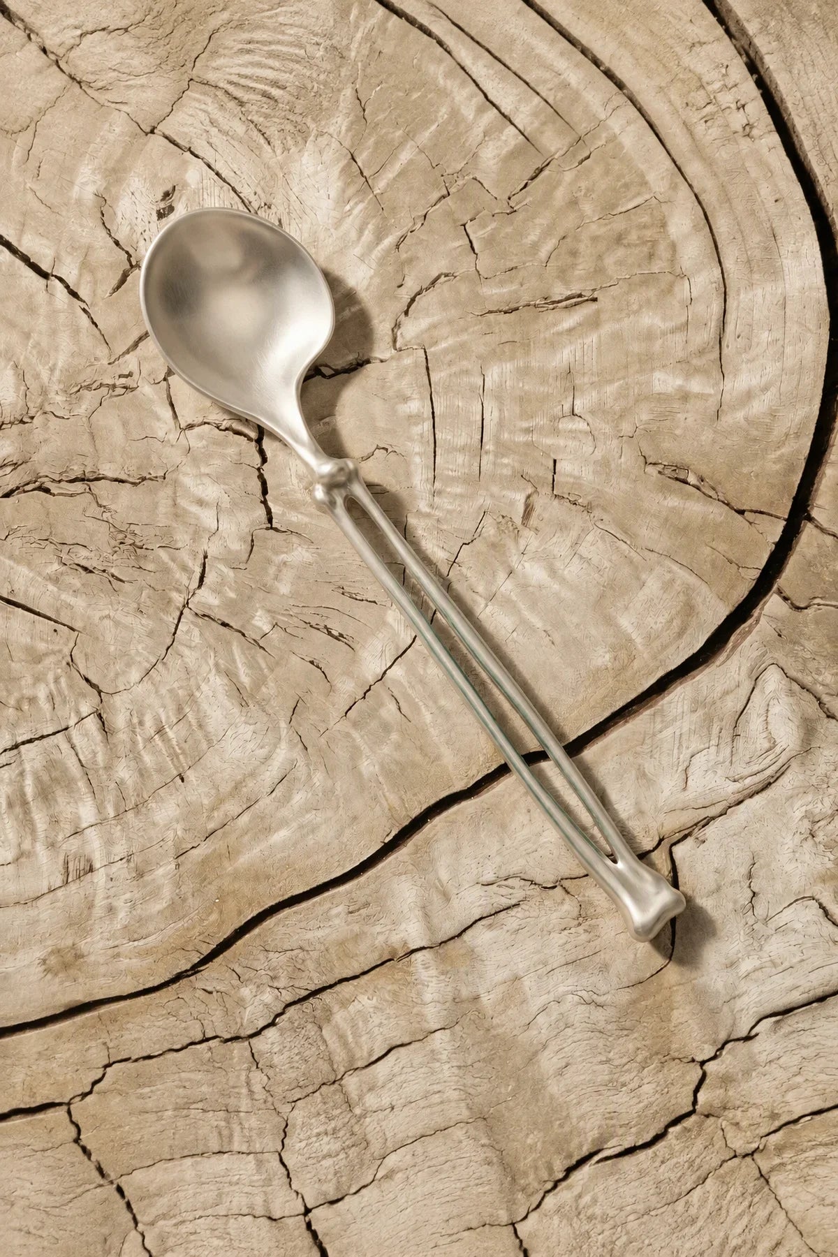 Anatomical Study Silver Stainless Steel Cutlery