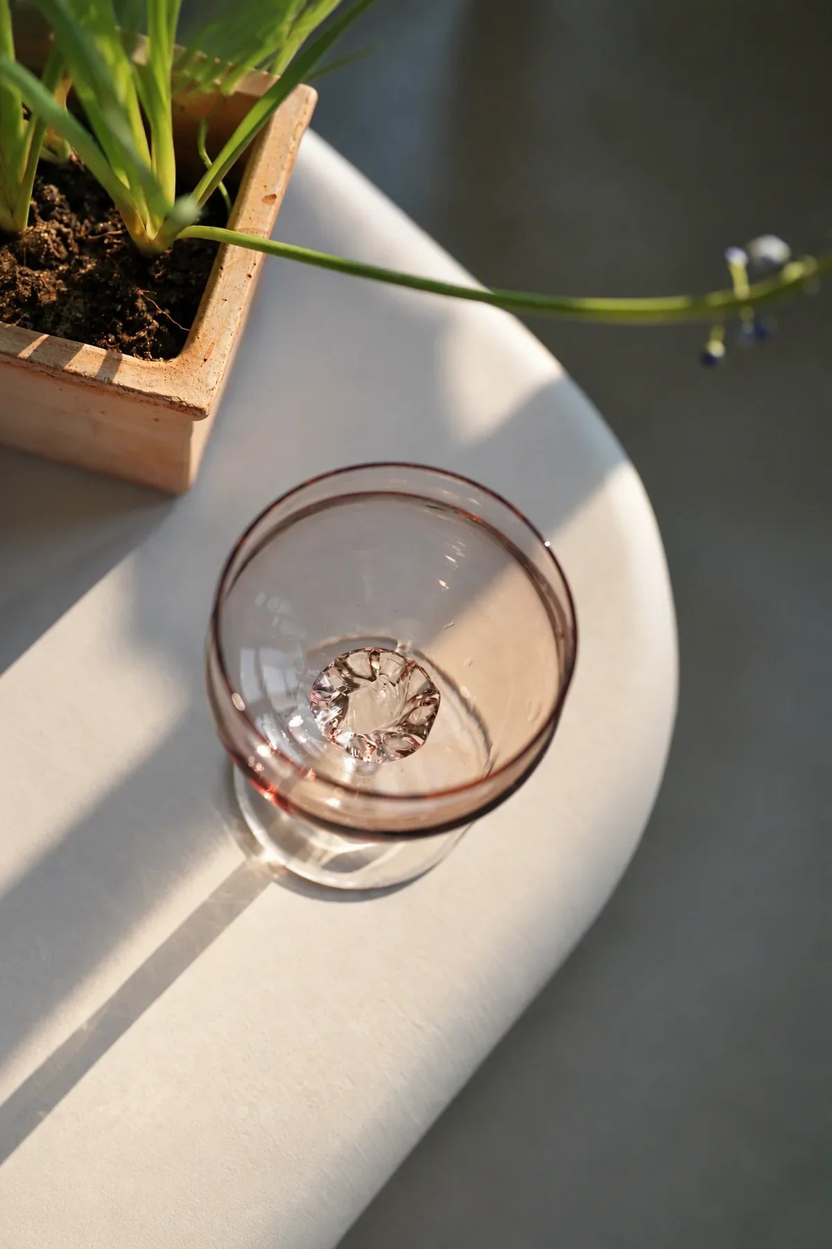 Violet Hour Amethyst Glass Cocktail Coupe