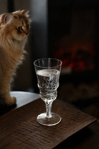 Woven Light Clear Glass Goblet