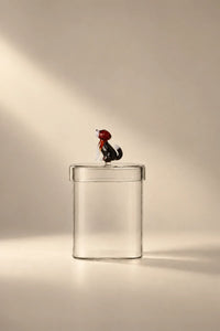 Garden Fable Tinted Glass Storage Vessel