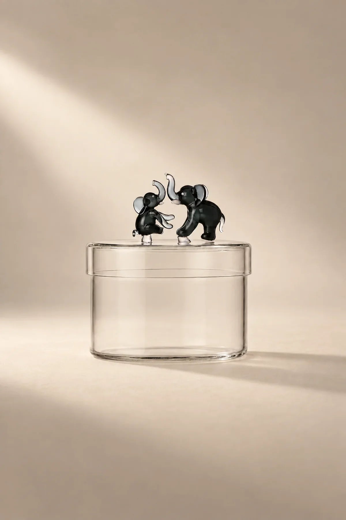 Garden Fable Tinted Glass Storage Vessel