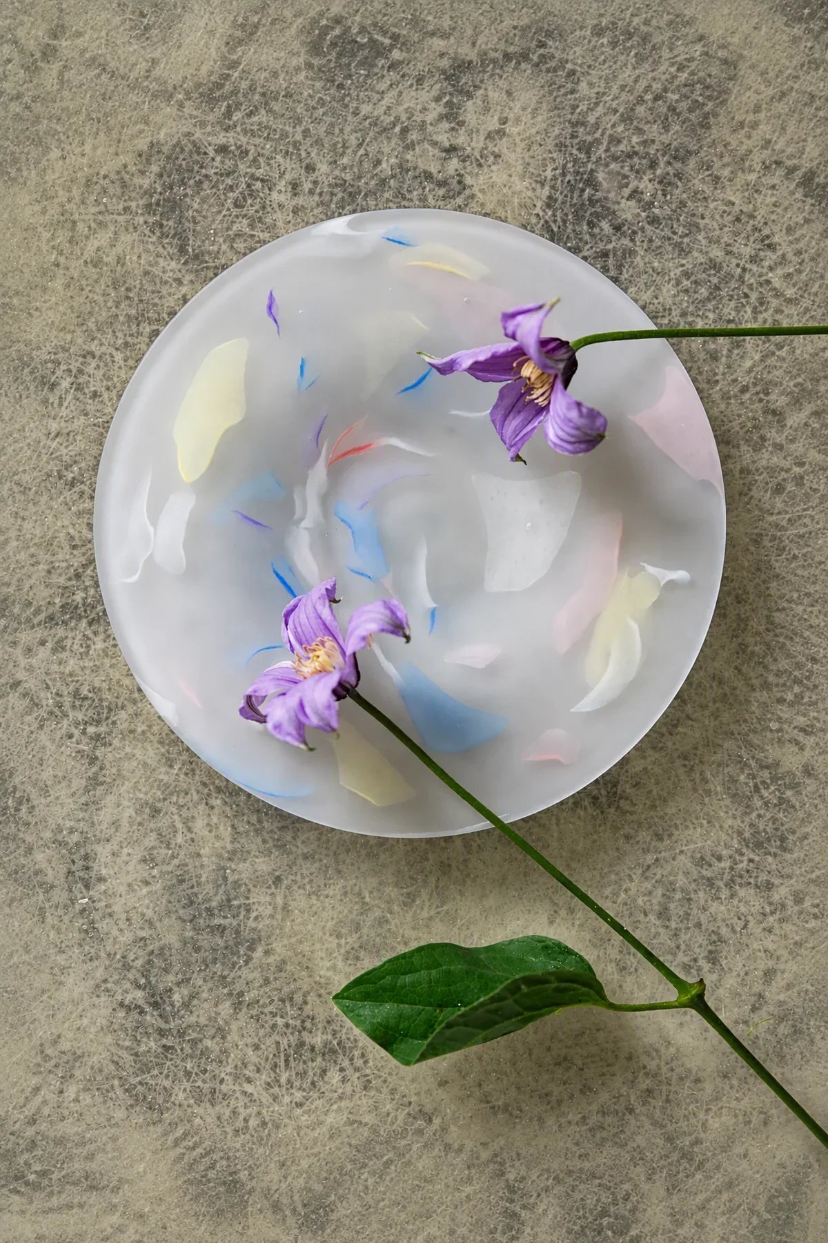 Petal Drift Clear Glass Drinkware Set